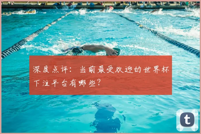 深度点评:当前最受欢迎的世界杯下注平台有哪些?