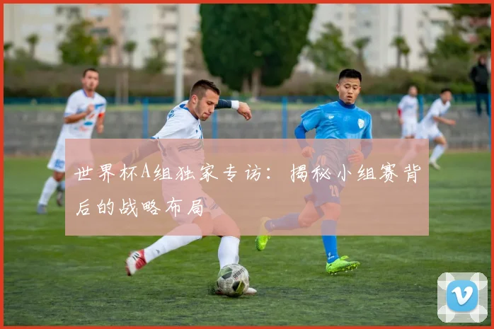 世界杯A组独家专访:揭秘小组赛背后的战略布局