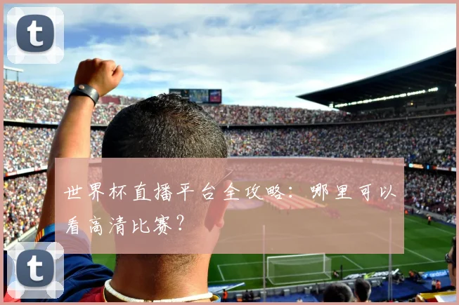 世界杯直播平台全攻略：哪里可以看高清比赛？