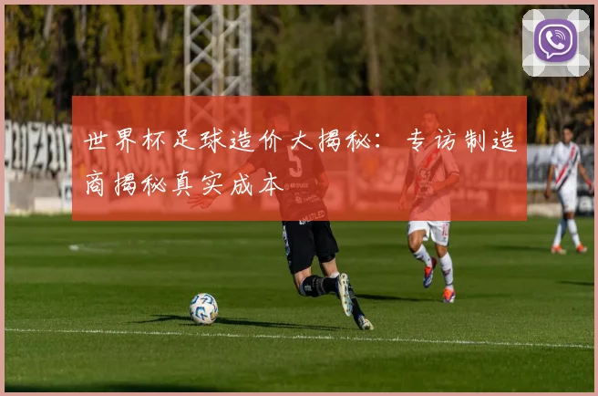 世界杯足球造价大揭秘:专访制造商揭秘真实成本