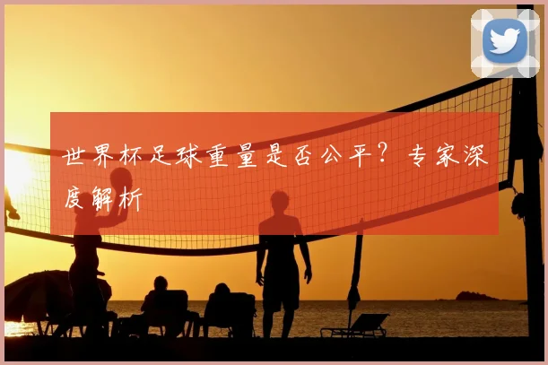 世界杯足球重量是否公平？专家深度解析